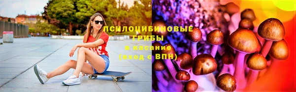 мяу мяу мука Горняк
