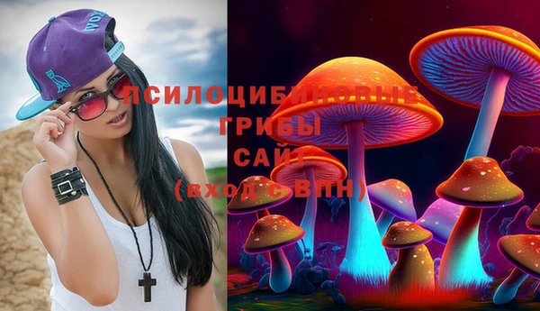 мяу мяу мука Горняк